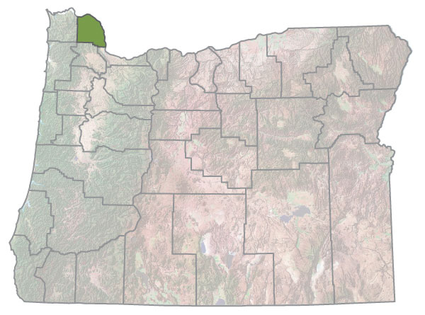 Assistance Map Image
