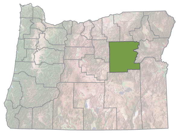 Assistance Map Image