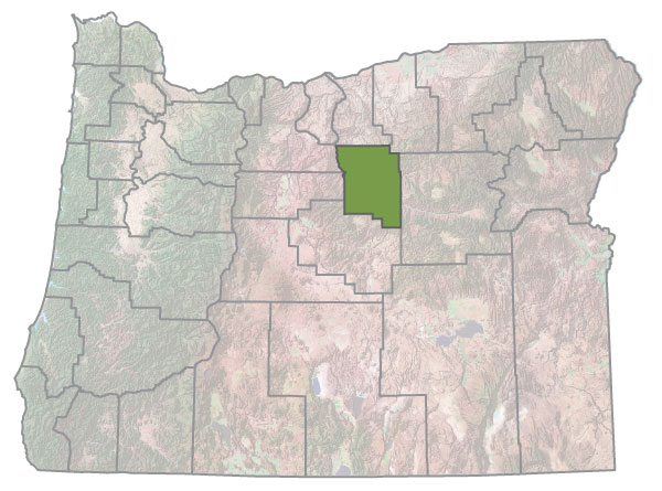Assistance Map Image